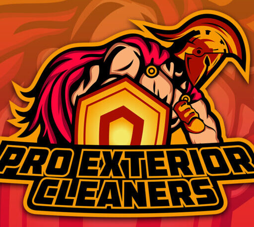 Pro Exterior Cleaners